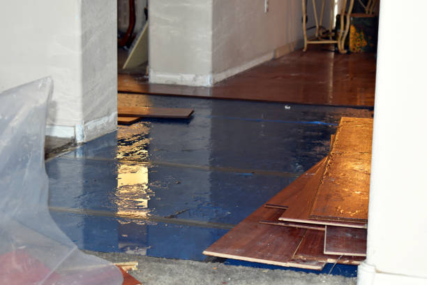 Professional Basement Flood Cleanup technician working in Bethel, NC